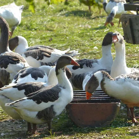 公寓 Christoph Seeger