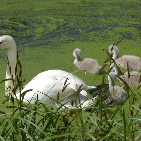 Christoph Seeger * Bugewitz