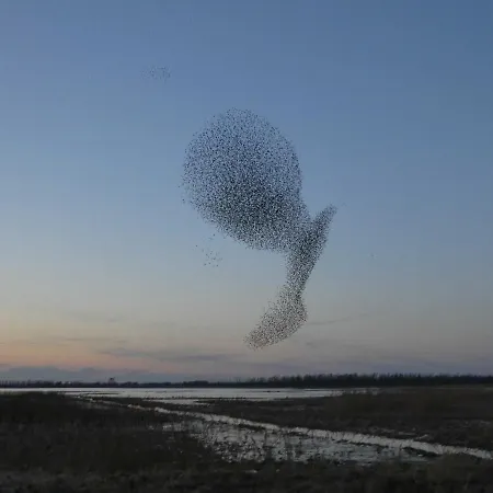 Christoph Seeger 公寓