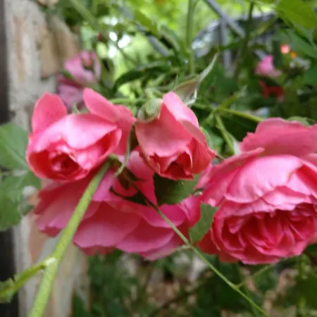 Christoph Seeger Bugewitz