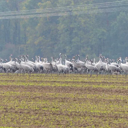 Christoph Seeger Bugewitz