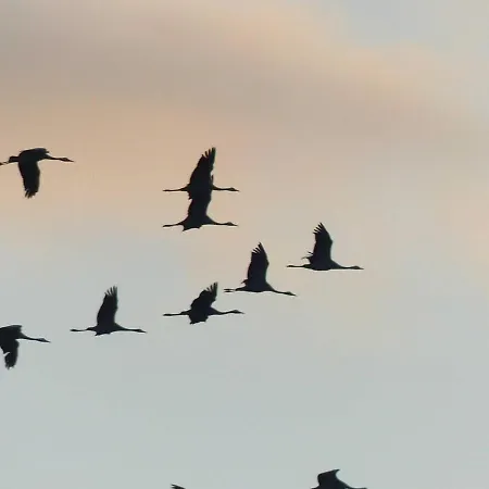 アパート Christoph Seeger Bugewitz