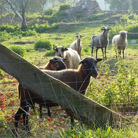 Christoph Seeger Bugewitz